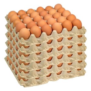 Huevo Extra Color (61 a 67,9 g) Caja de 180 unidades