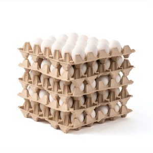 Huevo Jumbo Blanco XL (82 ó + g) Caja de 100 unidades