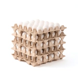 Huevo Jumbo Blanco (74 a 81,9 g) Caja de 100 unidades